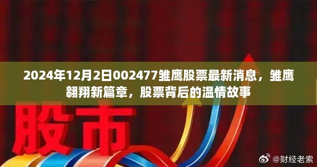 雛鷹翱翔新篇章，揭秘股票背后的溫情故事與最新動(dòng)態(tài)