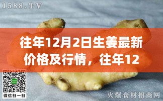 深度解析，往年12月2日生姜市場(chǎng)行情及最新價(jià)格概覽