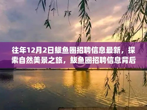 揭秘鲅魚圈招聘信息背后的自然美景之旅，寧靜秘境等你來探索