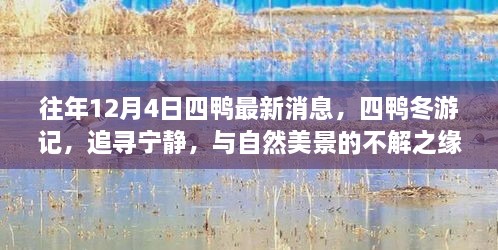 往年12月4日四鴨冬游記，追尋寧?kù)o與美景的不解之緣