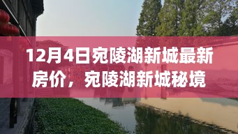 宛陵湖新城房價(jià)揭秘，秘境小巷特色小店與最新房價(jià)探秘之旅