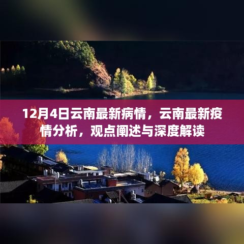 云南疫情最新動態(tài)，深度解讀與分析報告（12月4日更新）