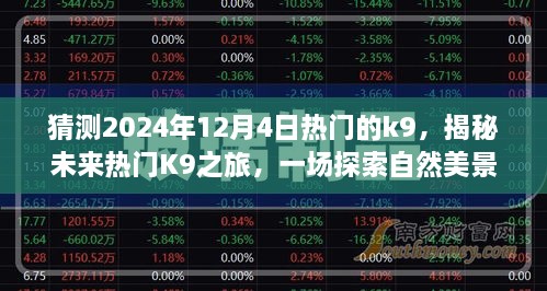 揭秘未來熱門K9之旅，啟程于2024年12月4日的自然美景探索之旅