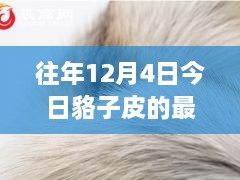 12月4日貉子皮最新價(jià)格及歷年趨勢(shì)解析，市場(chǎng)動(dòng)態(tài)一覽