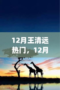 追尋自然之旅，王清遠(yuǎn)在十二月的腳步與心靈之旅