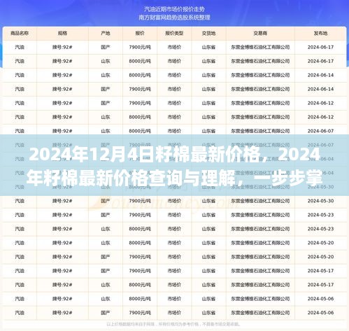 2024年12月4日籽棉最新價(jià)格，2024年籽棉最新價(jià)格查詢與理解，一步步掌握行情分析技能