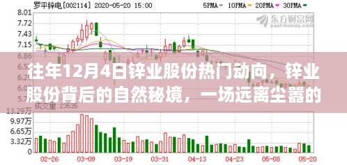 鋅業(yè)股份背后的自然秘境，一場遠離塵囂的心靈之旅揭秘往年12月4日熱門動向