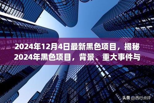 揭秘，2024年黑色項(xiàng)目的背景、重大事件與深遠(yuǎn)影響全解析