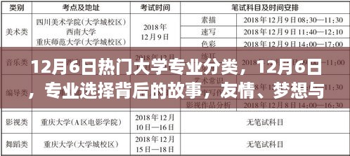 專業(yè)背后的故事，友情、夢想與家的紐帶——12月6日熱門大學(xué)專業(yè)分類探索