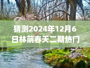 揭秘林蔭春天二期未來走向，預(yù)測熱門消息與未來展望（2024年12月6日分析）