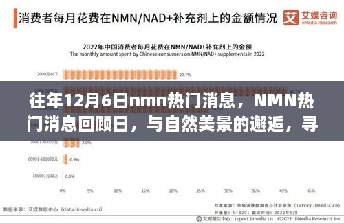 往年NMN熱門消息回顧日，與自然美景的邂逅，心靈寧靜之旅啟程