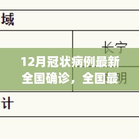 全國最新冠狀病例確診流程詳解，12月冠狀病例確診操作指南