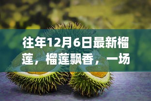 榴蓮飄香之旅，遠離塵囂，探尋內(nèi)心平靜的榴蓮之旅體驗