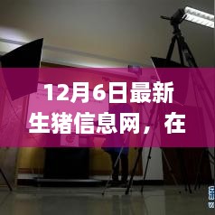 云端豬事，最新生豬信息小記（12月6日）