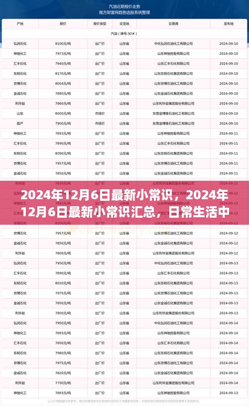 2024年12月6日最新小常識一覽，日常生活中的新奇知識匯總