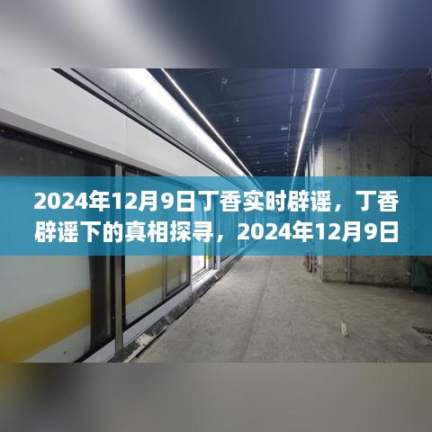 2024年視角下的丁香實時辟謠，探尋真相之旅