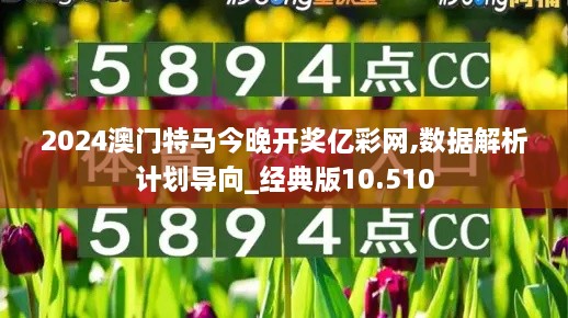 2024澳門特馬今晚開獎億彩網(wǎng),數(shù)據(jù)解析計劃導向_經典版10.510