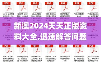 新澳2024天天正版資料大全,迅速解答問題_DX版1.329