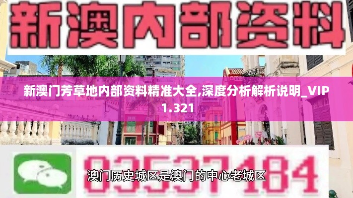 新澳門芳草地內(nèi)部資料精準大全,深度分析解析說明_VIP1.321