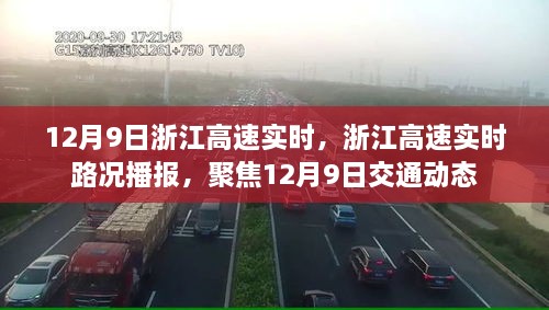 浙江高速實時路況播報，聚焦12月9日交通動態(tài)