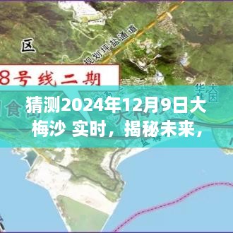 揭秘大梅沙海域未來生態(tài)與環(huán)境展望，2024年12月9日海洋生態(tài)實(shí)時揭秘