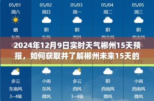 初學者指南，如何獲取并了解郴州未來15天的實時天氣預報——2024年12月9日及未來天氣速覽