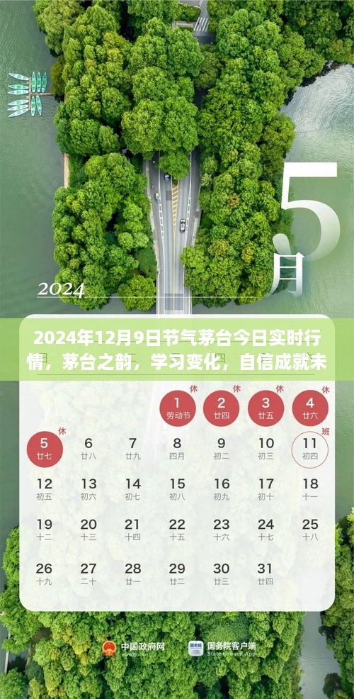 茅臺之韻，2024年12月9日實時行情啟示錄，洞悉變化，自信筑夢未來