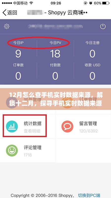 探尋手機實時數(shù)據(jù)來源的奧秘，十二月開啟自信與成就之旅的指南