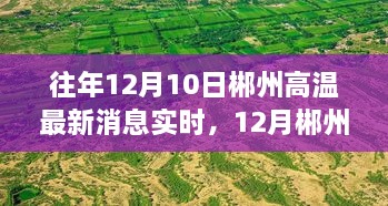 尋找內(nèi)心平靜的旅程，郴州高溫下的綠色奇跡與實(shí)時(shí)消息