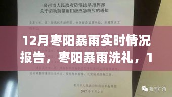 棗陽暴雨實(shí)時(shí)報(bào)告，12月暴雨洗禮下的最新情況分析