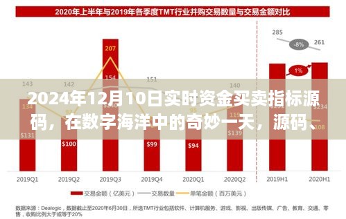 數(shù)字海洋中的奇妙一天，源碼揭秘與資金買賣指標(biāo)之旅