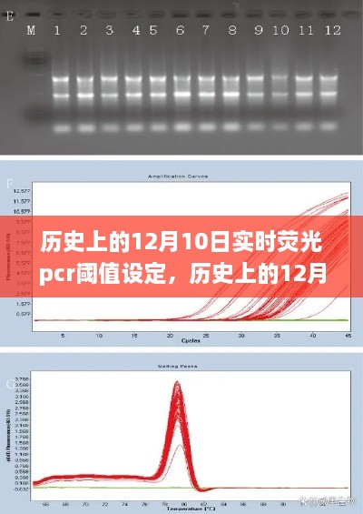 歷史上的12月10日，實時熒光PCR閾值設(shè)定的探索之旅