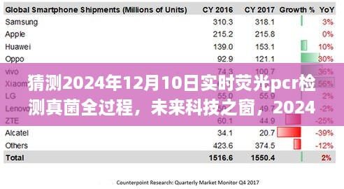 揭秘未來(lái)科技之窗，2024年實(shí)時(shí)熒光PCR檢測(cè)真菌全過(guò)程展望與解析