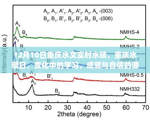 重慶水晴日下的學(xué)習(xí)成就與自信之源，變化中的探索與成長(zhǎng)之路