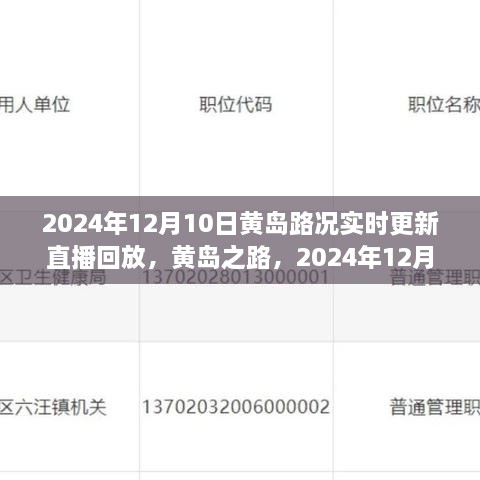 2024年12月10日黃島路況實(shí)錄與深度解讀，實(shí)時(shí)更新直播回放