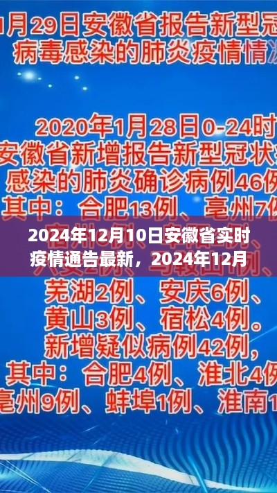 2024年12月10日安徽省實(shí)時(shí)疫情通告，最新分析與觀察