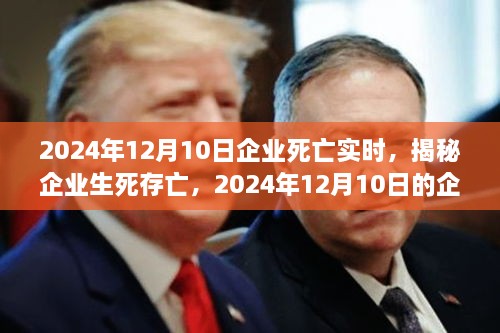 揭秘企業(yè)生死存亡，企業(yè)死亡實(shí)時(shí)真相揭秘（2024年12月10日）