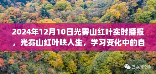 光霧山紅葉映人生，自信與成就之旅的實(shí)時(shí)播報(bào)（2024年12月）