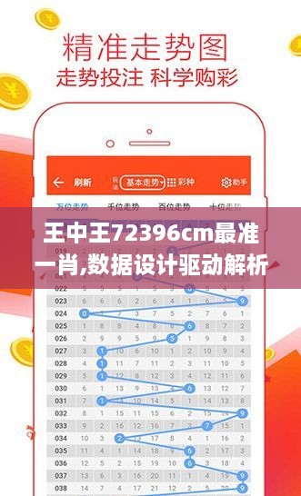 王中王72396cm最準一肖,數(shù)據(jù)設計驅(qū)動解析_4K版2.757