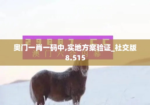 奧門一肖一碼中,實(shí)地方案驗(yàn)證_社交版8.515