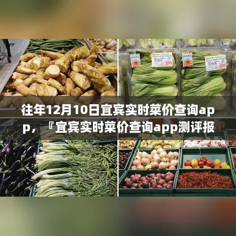 宜賓實(shí)時(shí)菜價(jià)查詢app歷年功能深度解析與用戶體驗(yàn)洞察測(cè)評(píng)報(bào)告，宜賓歷年菜價(jià)變遷一覽無(wú)余！