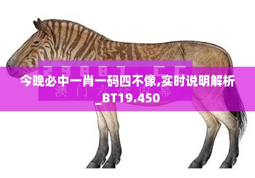 今晚必中一肖一碼四不像,實時說明解析_BT19.450