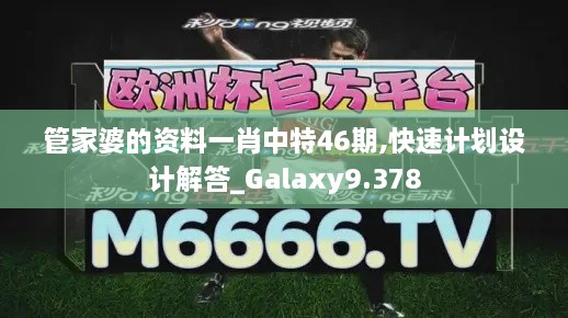 管家婆的資料一肖中特46期,快速計劃設計解答_Galaxy9.378