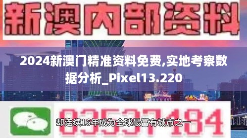 2024新澳門(mén)精準(zhǔn)資料免費(fèi),實(shí)地考察數(shù)據(jù)分析_Pixel13.220