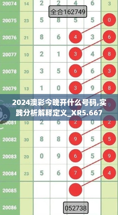 2024澳彩今晚開(kāi)什么號(hào)碼,實(shí)踐分析解釋定義_XR5.667