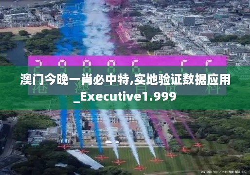 澳門今晚一肖必中特,實地驗證數(shù)據(jù)應用_Executive1.999