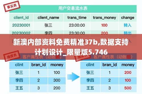 新澳內部資料免費精準37b,數(shù)據(jù)支持計劃設計_限量版5.746