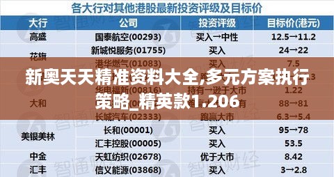 新奧天天精準資料大全,多元方案執(zhí)行策略_精英款1.206