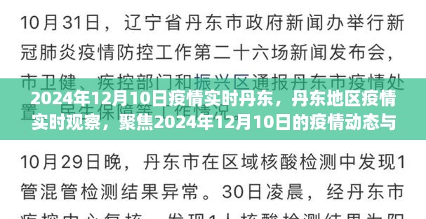 丹東地區(qū)疫情實時觀察，聚焦丹東疫情動態(tài)與防控進展至2024年12月10日