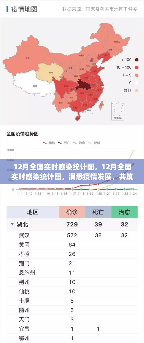 12月全國實(shí)時(shí)感染統(tǒng)計(jì)圖，洞悉疫情，共筑防控新防線